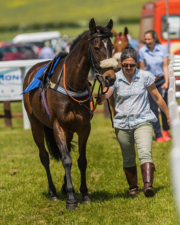 Edgcote Races
