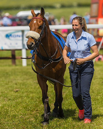Edgcote Races