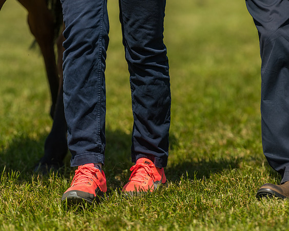 Edgcote Races