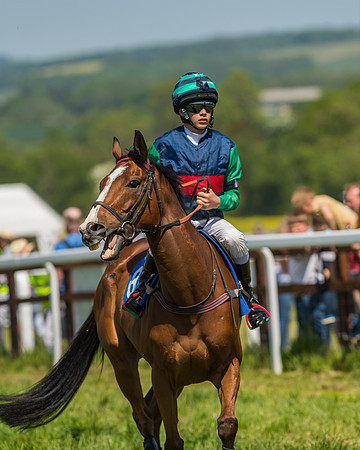 Edgcote Races