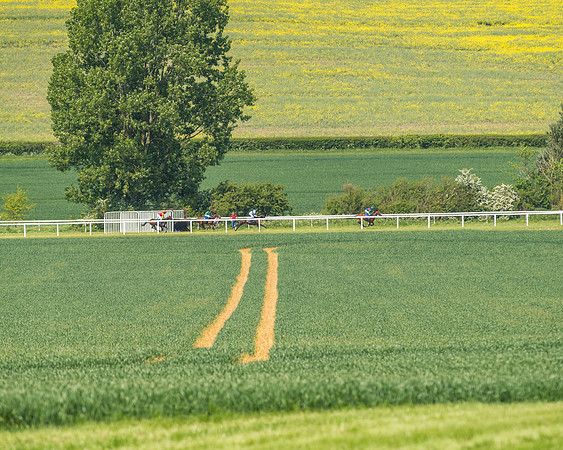 Edgcote Races