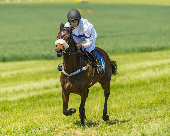 Edgcote Races