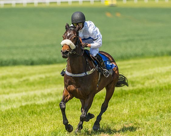 Edgcote Races