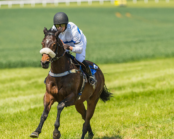 Edgcote Races