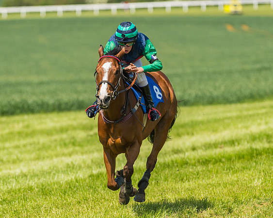 Edgcote Races