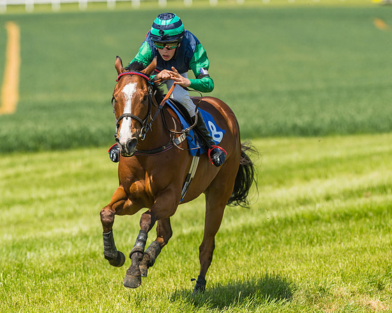 Edgcote Races