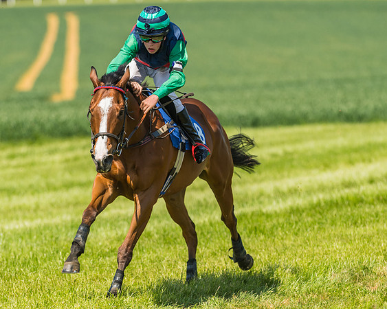 Edgcote Races