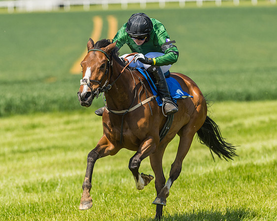 Edgcote Races