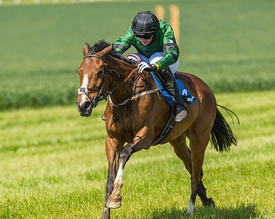 Edgcote Races