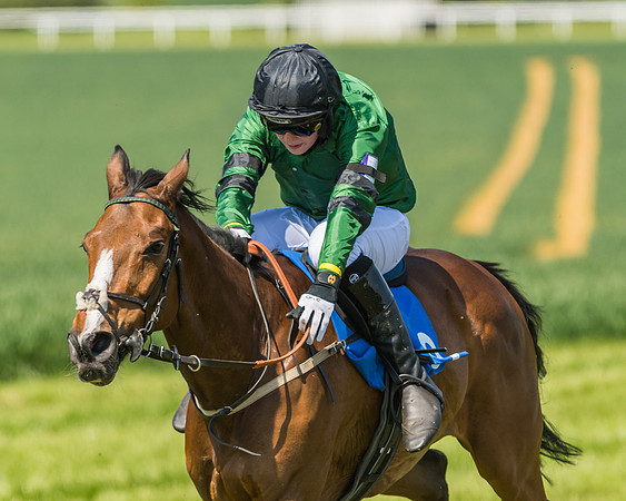 Edgcote Races