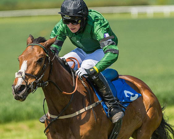 Edgcote Races