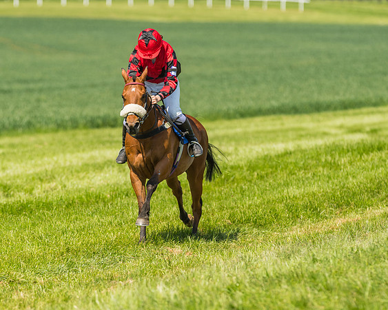 Edgcote Races