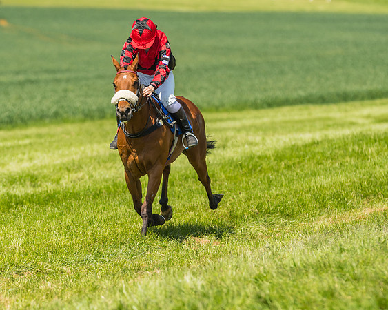 Edgcote Races