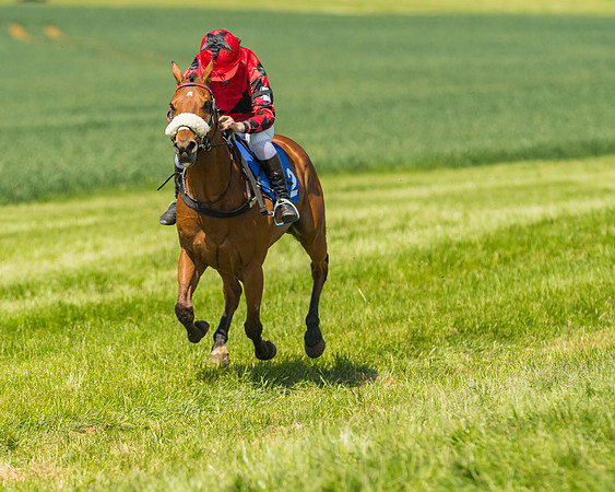 Edgcote Races
