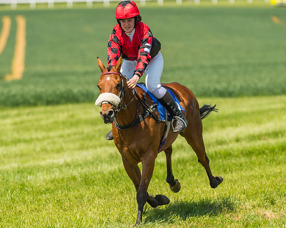 Edgcote Races
