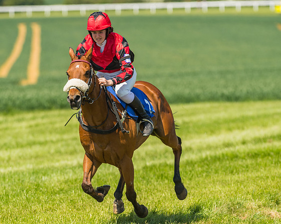 Edgcote Races