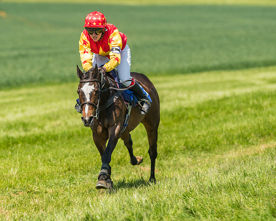 Edgcote Races