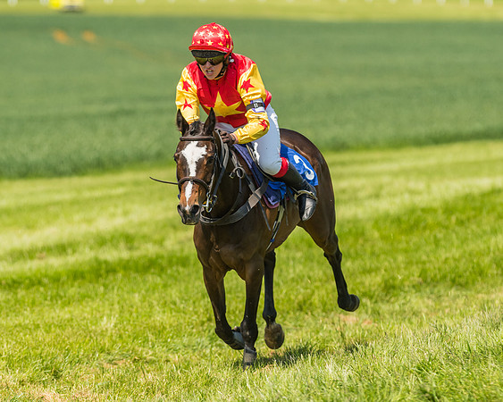Edgcote Races