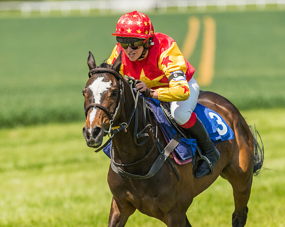 Edgcote Races