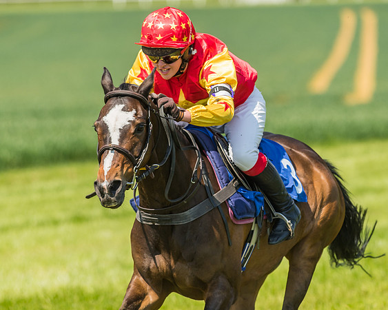 Edgcote Races