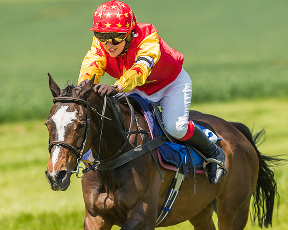 Edgcote Races