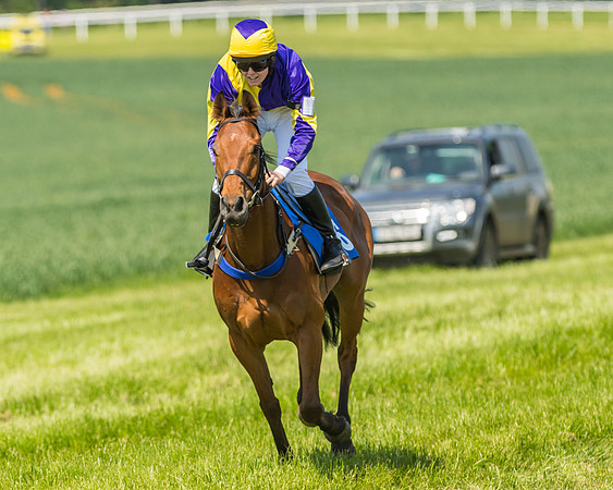 Edgcote Races
