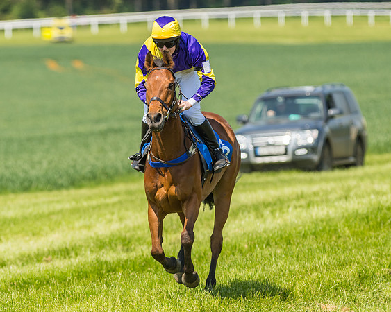 Edgcote Races