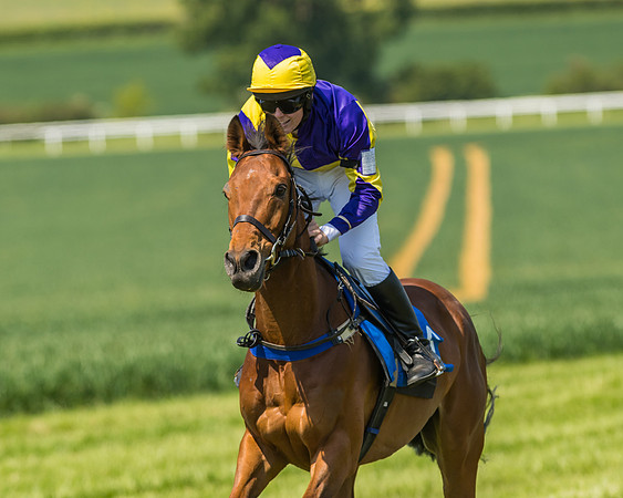 Edgcote Races