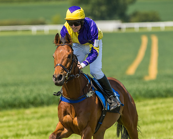 Edgcote Races