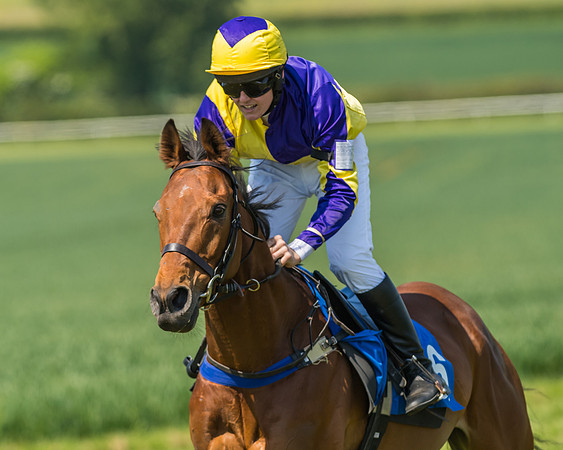 Edgcote Races