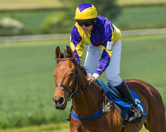 Edgcote Races