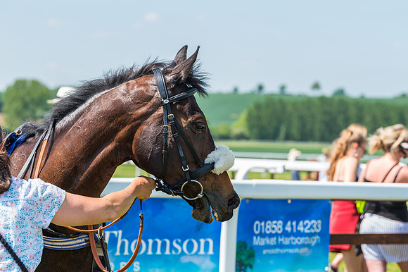 Edgcote Races