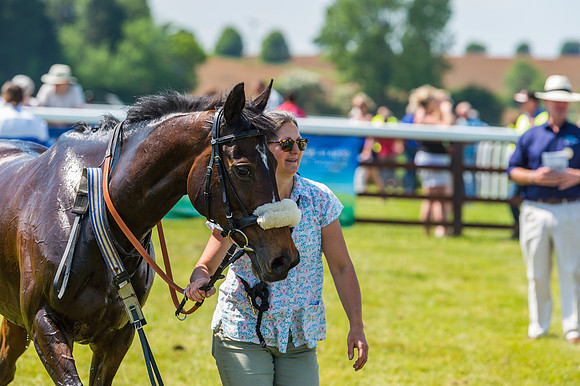 Edgcote Races