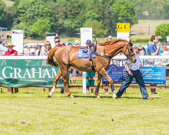 Edgcote Races