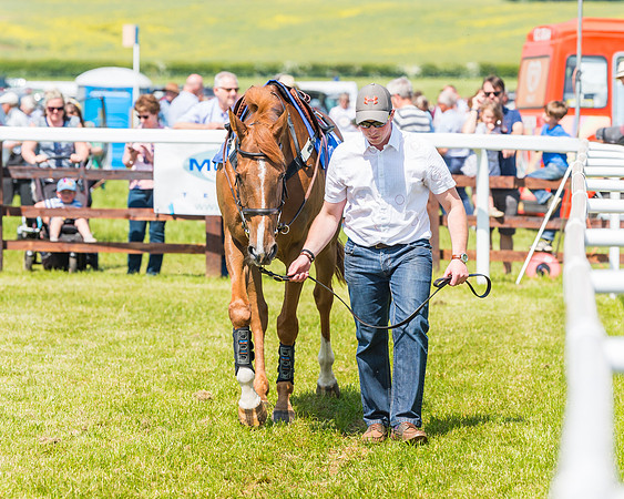 Edgcote Races