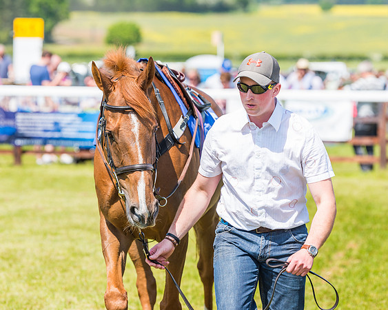 Edgcote Races