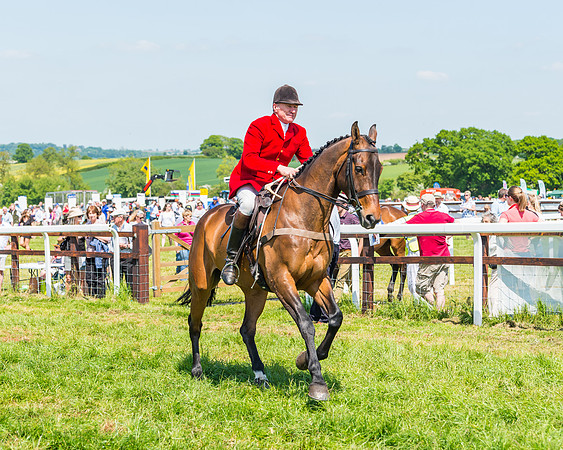 Edgcote Races