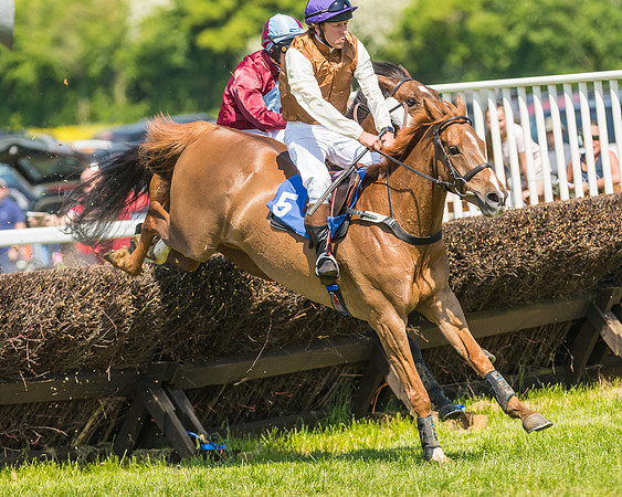 Edgcote Races