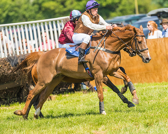 Edgcote Races