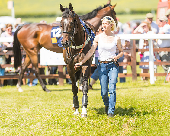Edgcote Races
