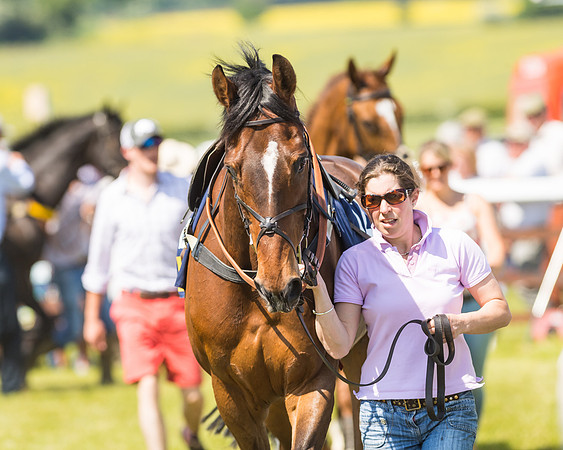 Edgcote Races