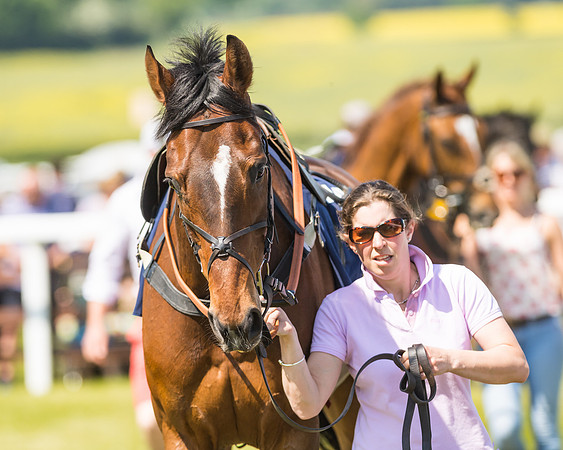 Edgcote Races