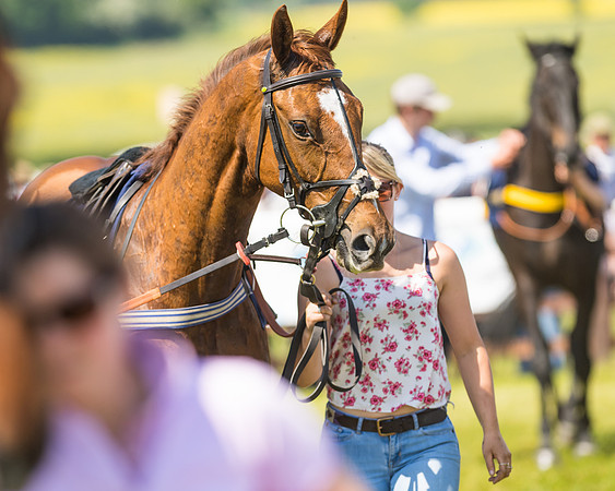 Edgcote Races