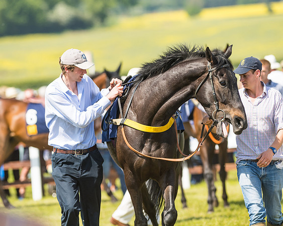 Edgcote Races