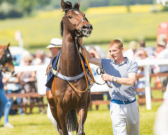 Edgcote Races
