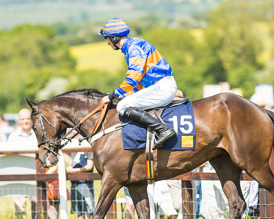 Edgcote Races
