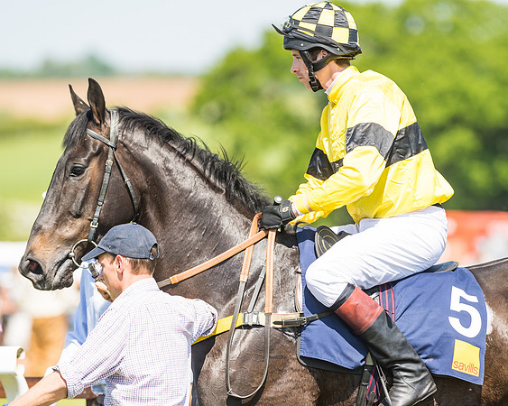 Edgcote Races