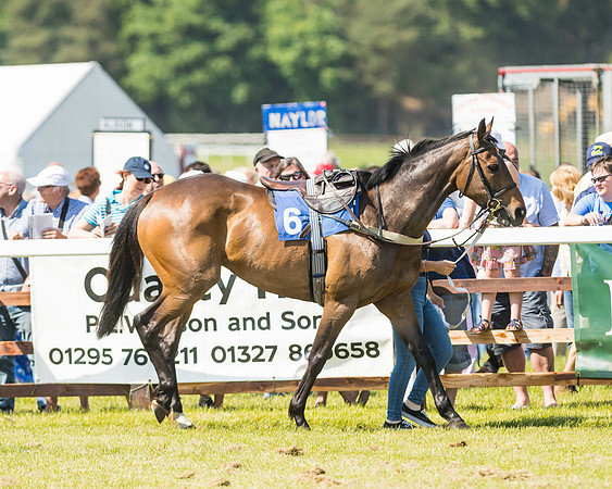 Edgcote Races