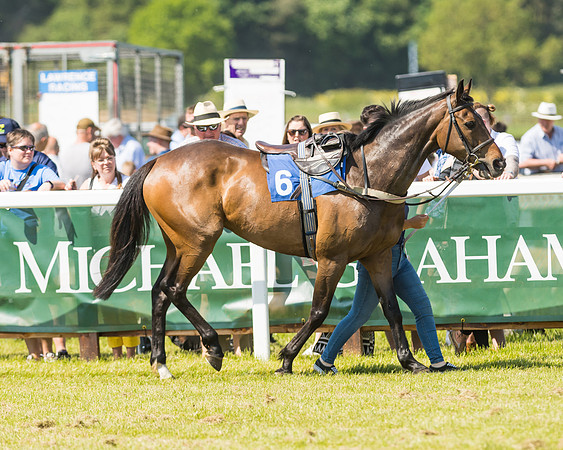 Edgcote Races