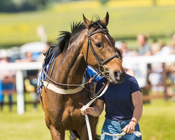Edgcote Races